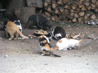 2010.08.Santiago-269